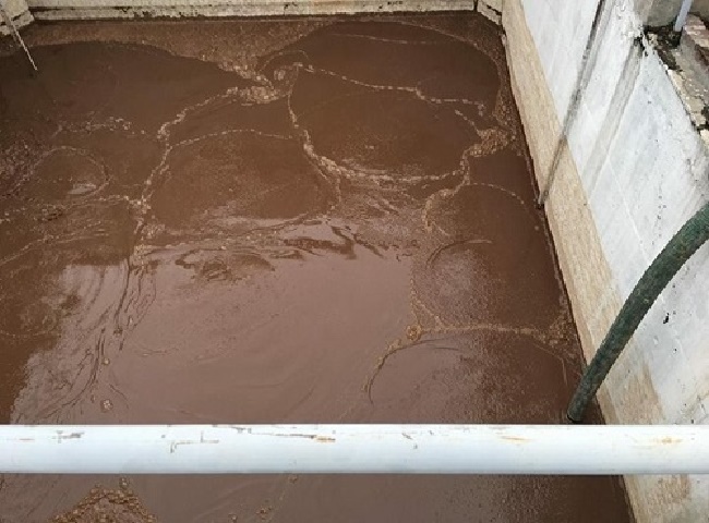 Cung cấp bùn vi sinh quận 1 Quốc Hùng chất lượng cao