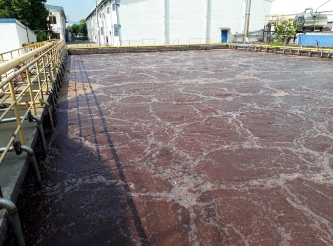 Cung cấp vận chuyển bùn vi sinh quận 1 được đa số khách hàng quan tâm